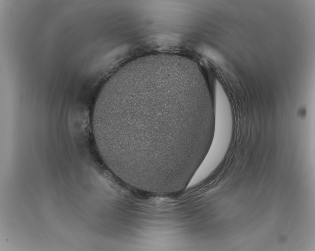 X0000090450748200707272215