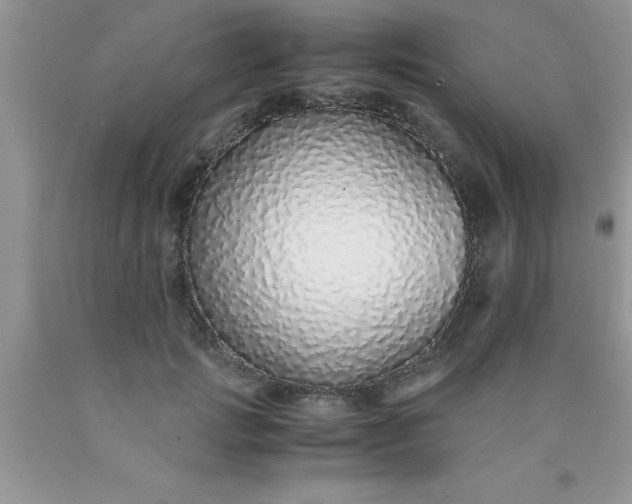 X0000090450749200707272215