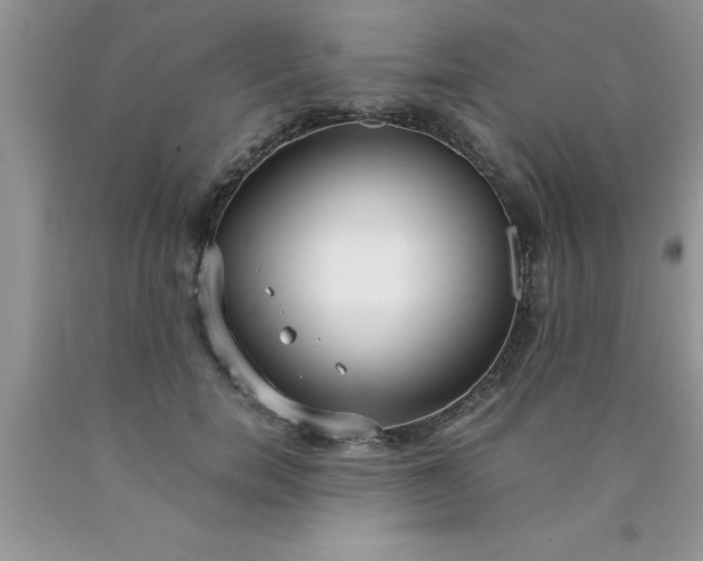 X0000090450750200707272215