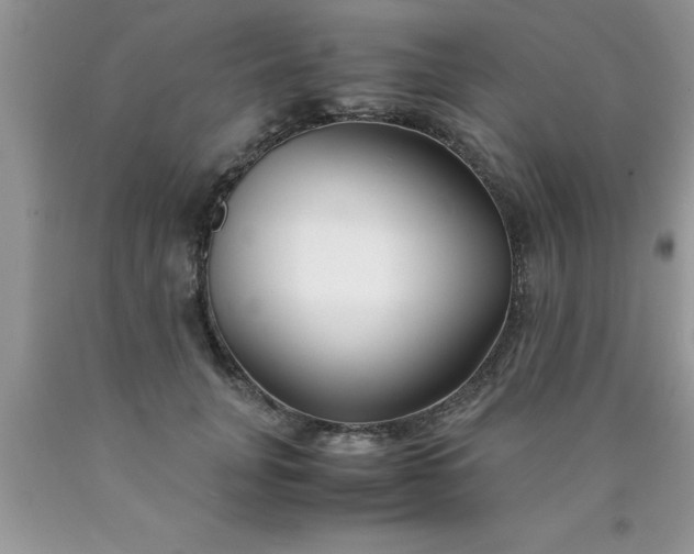 X0000090450751200707272215