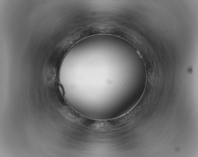 X0000090450752200707272215