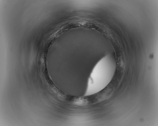 X0000090450754200707272215