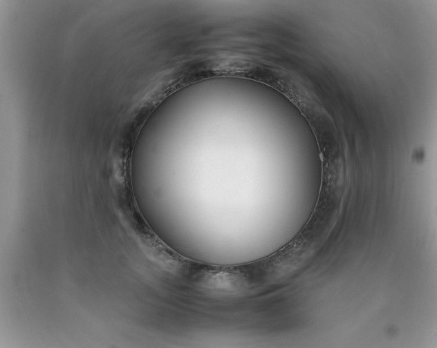 X0000090450755200707272215