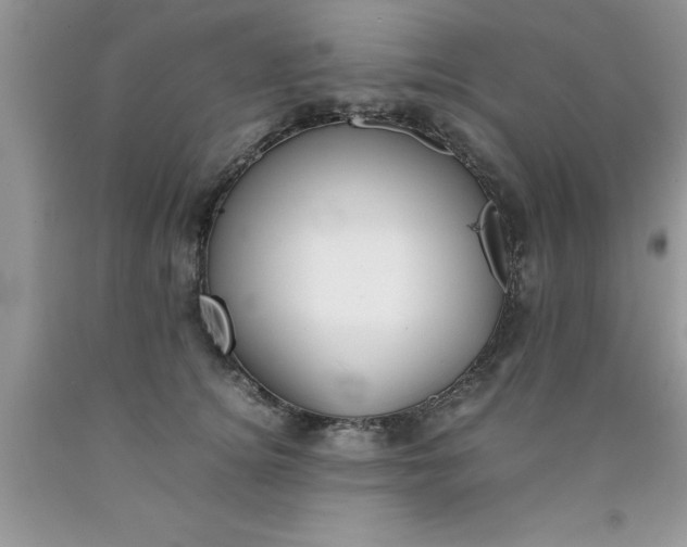 X0000090450756200707272215