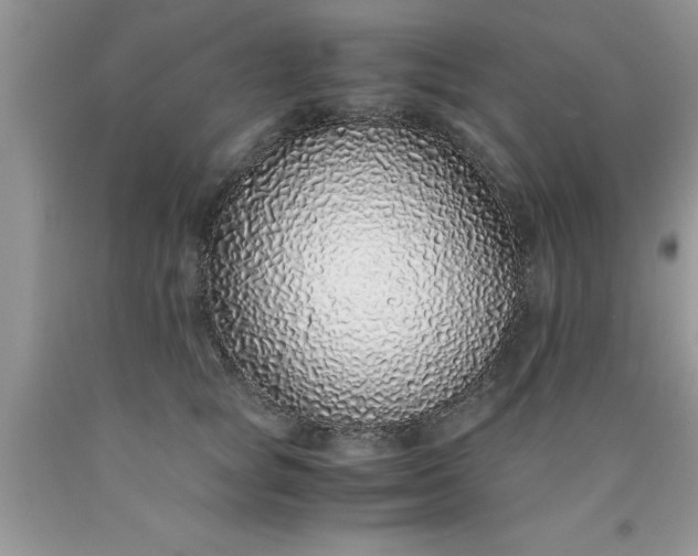 X0000090450757200707272215