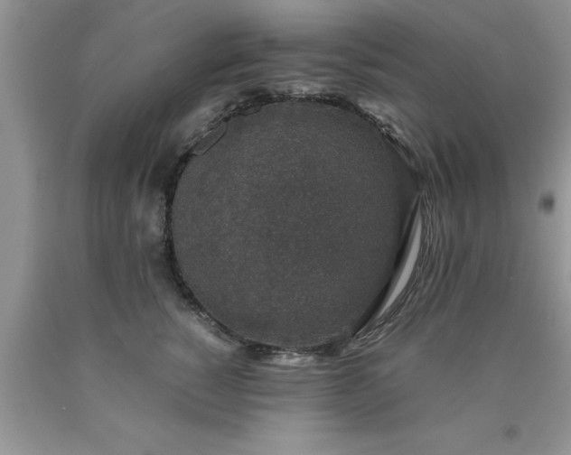 X0000090450760200707272215