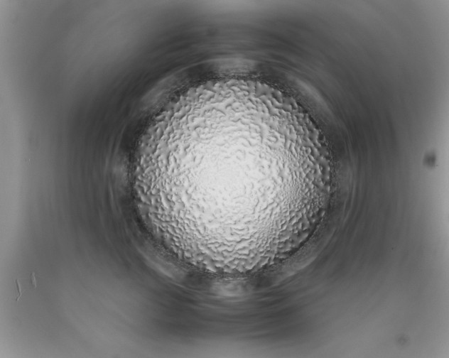 X0000090450761200707272215