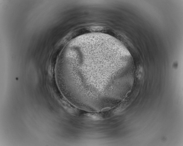 X0000090450763200707272215