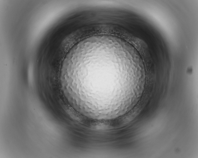 X0000090450765200707272215