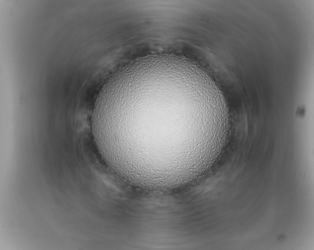 X0000090450770200707272215