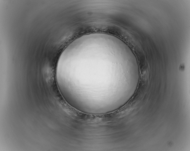 X0000090450772200707272215