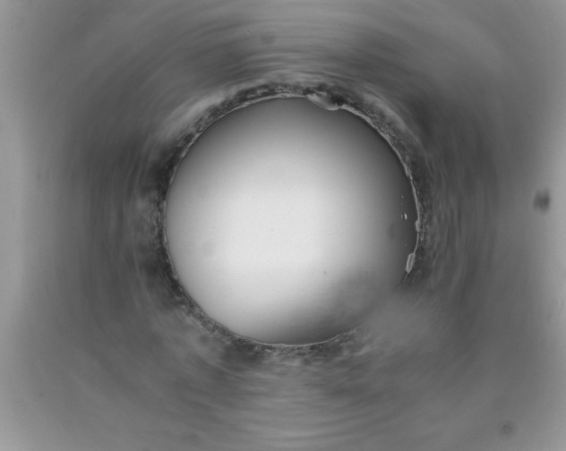 X0000090450773200707272215