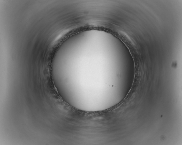 X0000090450776200707272215