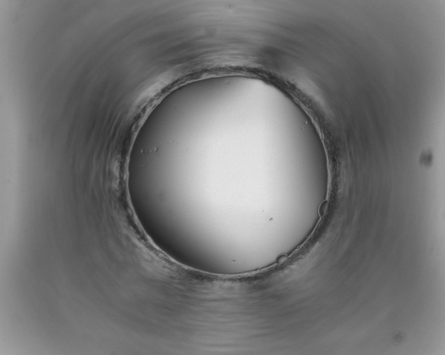 X0000090450777200707272215