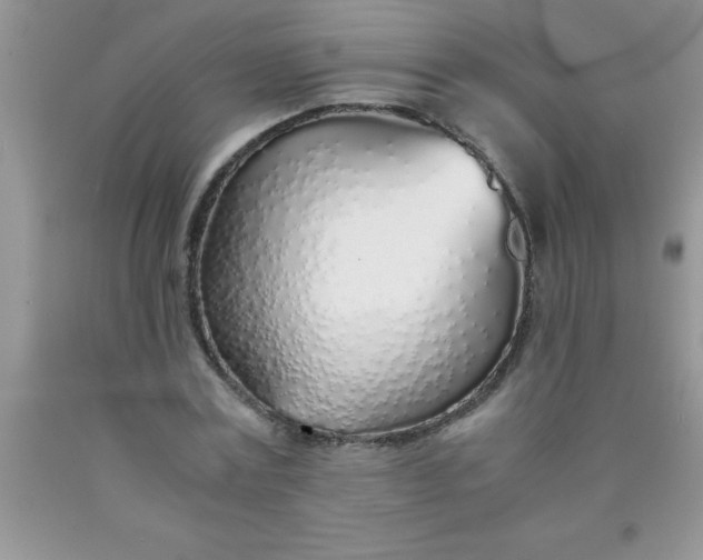 X0000090450779200707272215