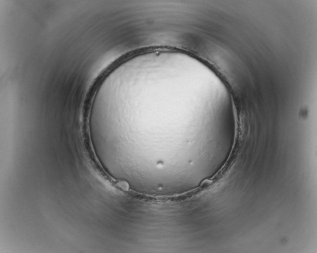 X0000090450780200707272215