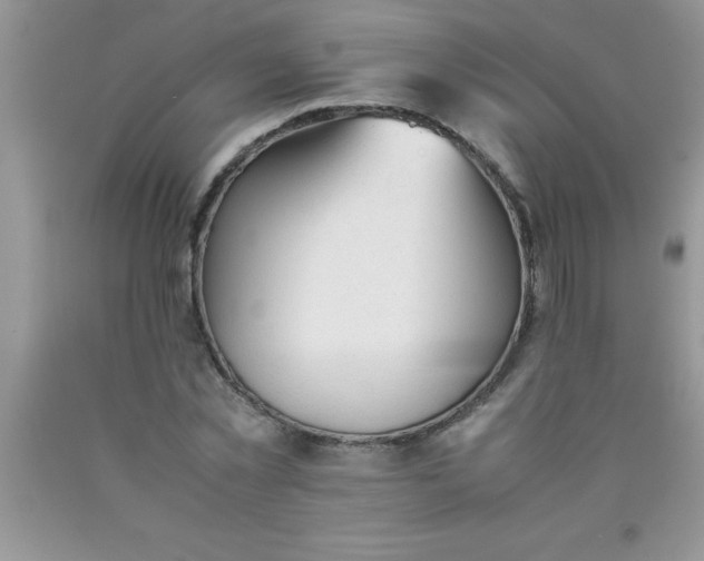 X0000090450781200707272214