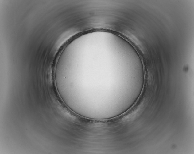 X0000090450782200707272214