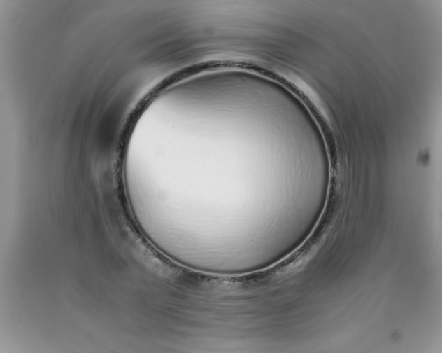 X0000090450783200707272214