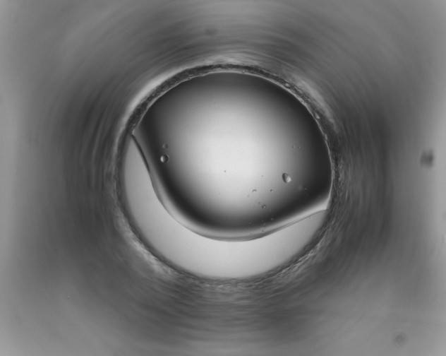 X0000090450784200707272214