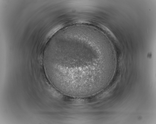 X0000090450785200707272214