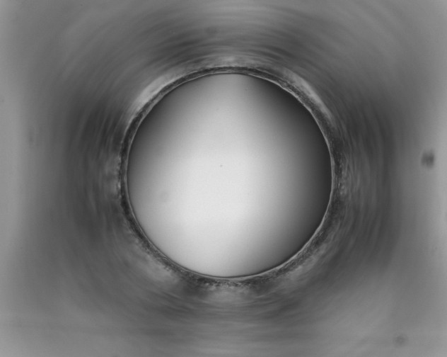 X0000090450786200707272214