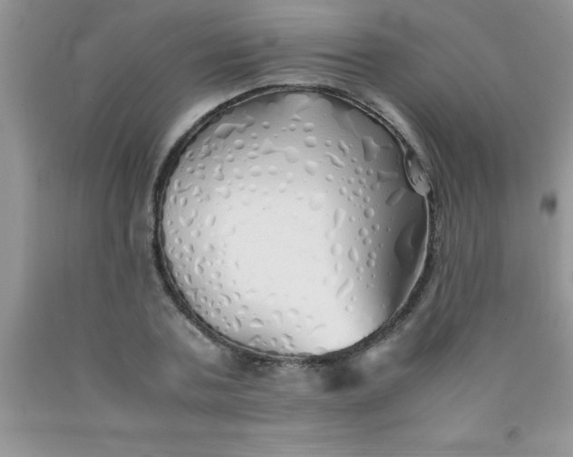 X0000090450787200707272214