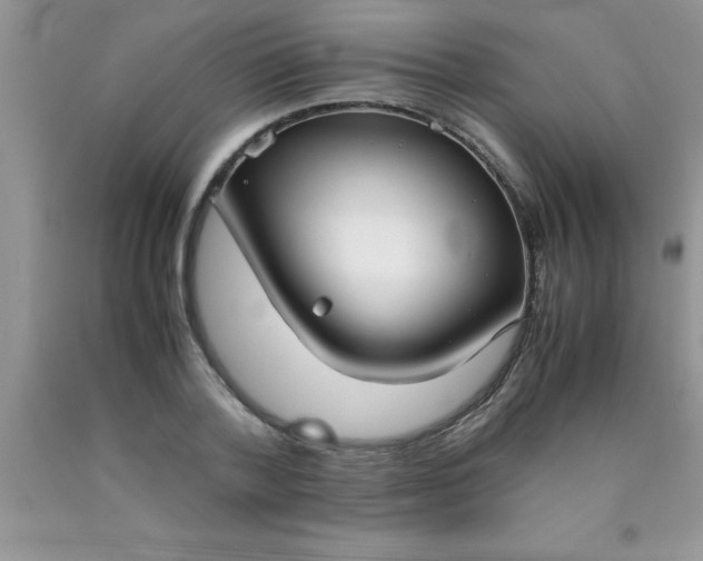 X0000090450788200707272214