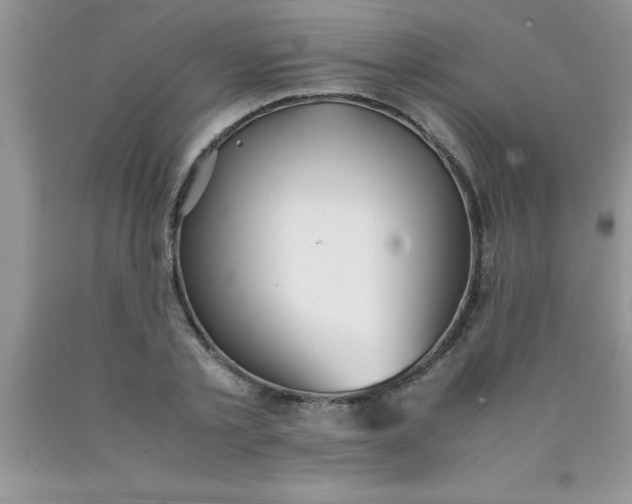 X0000090450789200707272214