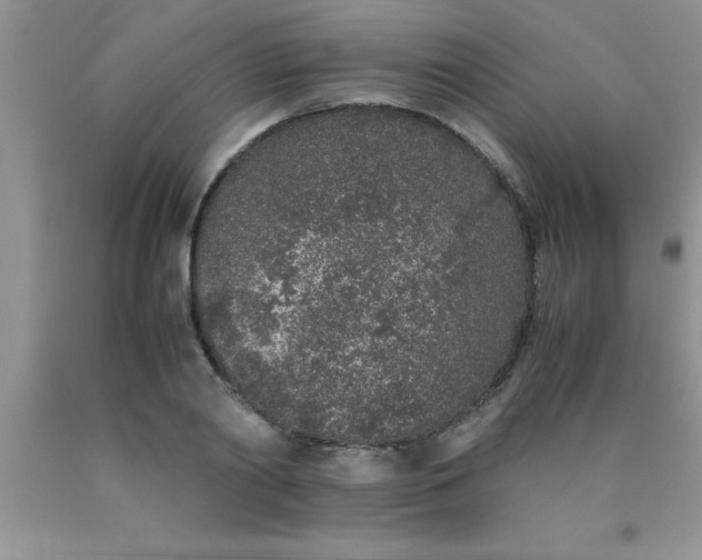 X0000090450790200707272214