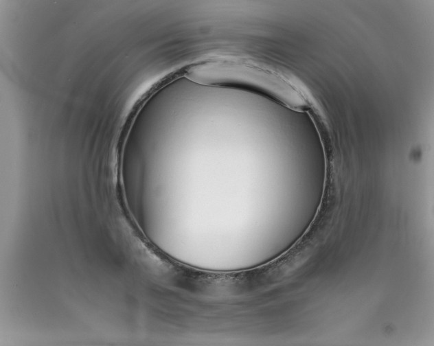 X0000090450791200707272214