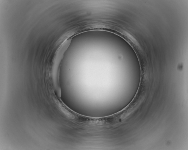 X0000090450793200707272214