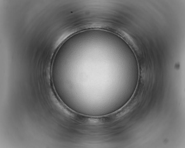 X0000090450794200707272214