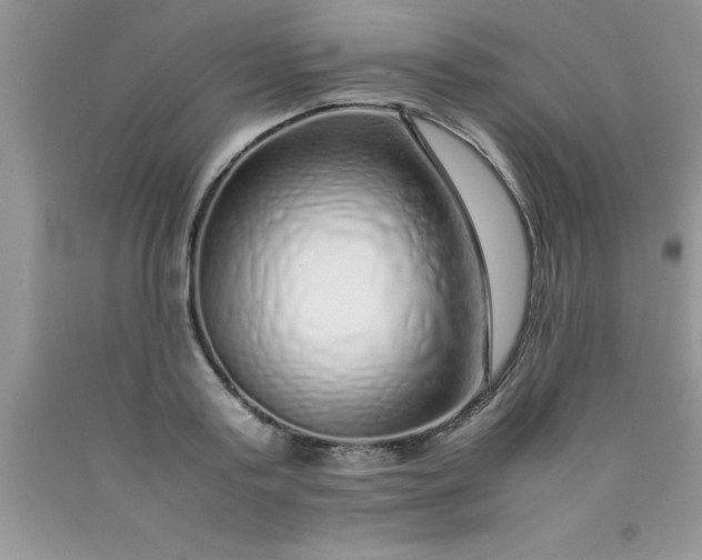 X0000090450795200707272214