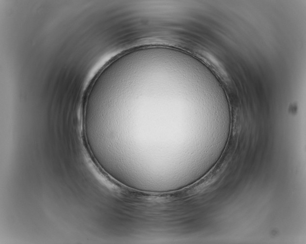 X0000090450796200707272214