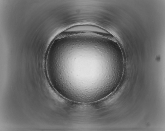 X0000090450797200707272214