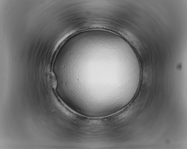 X0000090450798200707272214