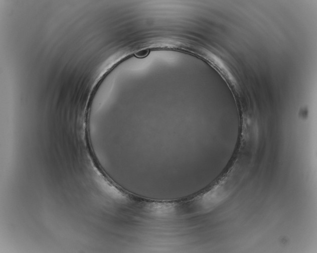 X0000090450802200707272214