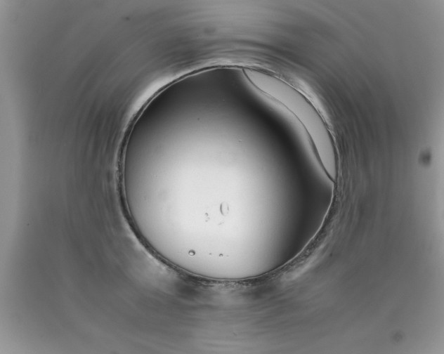 X0000090450803200707272214