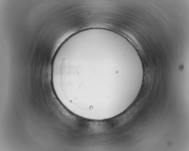 X0000090450804200707272214