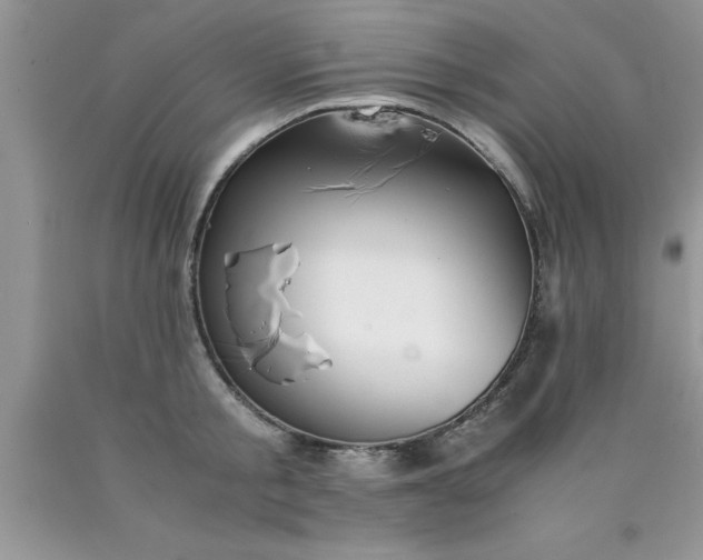 X0000090450805200707272214