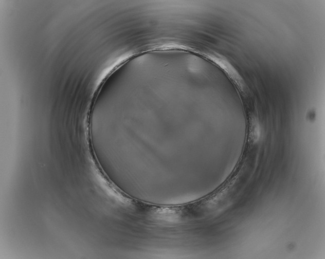 X0000090450806200707272214