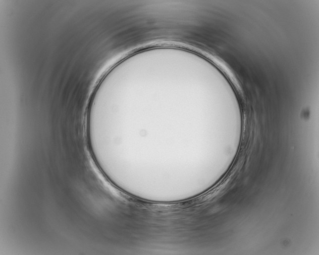 X0000090450807200707272214