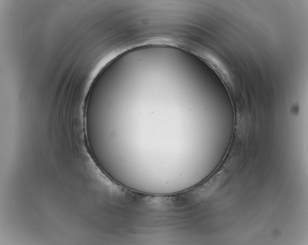 X0000090450808200707272214