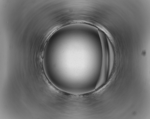 X0000090450809200707272214