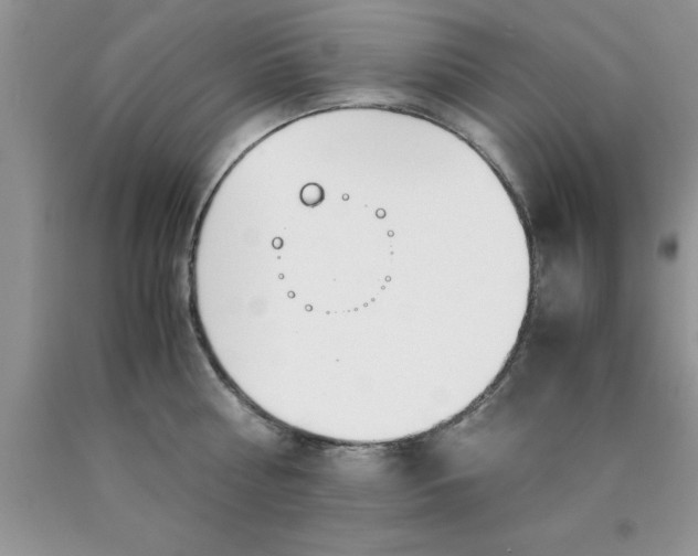 X0000090450810200707272214