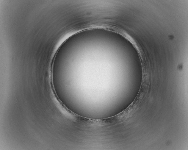 X0000090450811200707272214