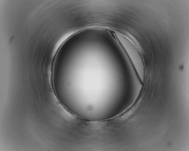 X0000090450812200707272214