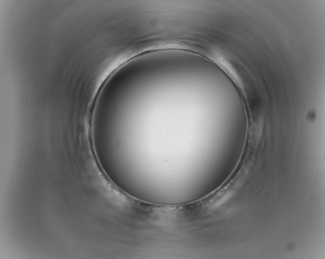 X0000090450813200707272214