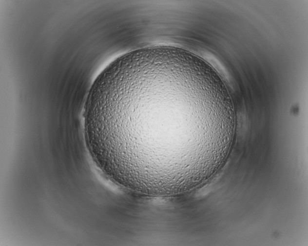 X0000090450814200707272214